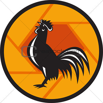 Rooster Crowing Shutter Circle Retro