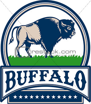American Bison Buffallo Banner Circle Woodcut
