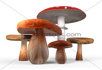 ceps, paxil, amanita muscaria mushrooms isolated on white 3d illustration