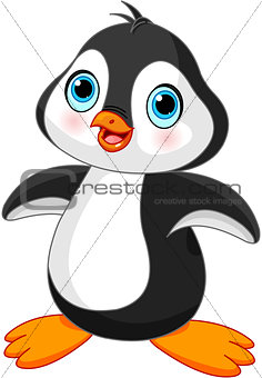 Cute Penguin 
