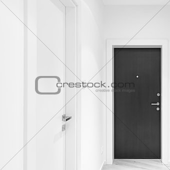 Door in the flat corridor.