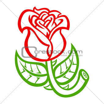 Rose Flower vector illustration