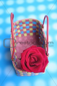 Red rose in a basket