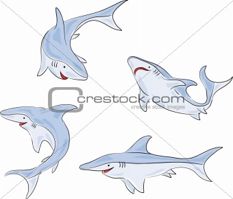 Four shark
