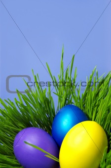 Easter holiday  color eggs