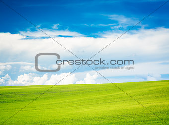 Summer Landscape with Green Field and Blue Sky