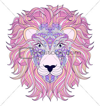 head of lion on white background.