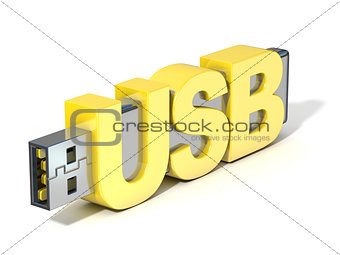 USB flash memory, made with the word USB. 3D