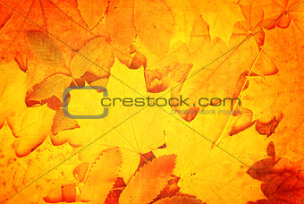 Grunge fall background with old paper texture