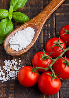 Fresh tomatoes with basil and spoon with salt on grunge board