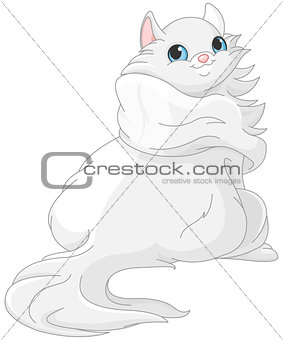 White Kitten 