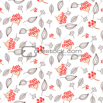 Rowan and leaves seamless white vector pattern.