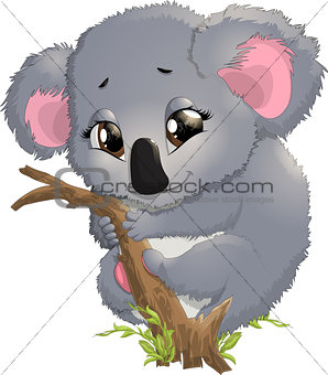 pretty funny koala