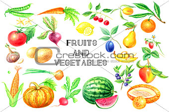 Watercolor set of fruits and vegetables