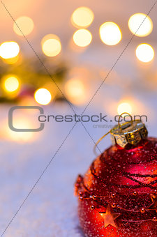 Christmas fir tree with lights