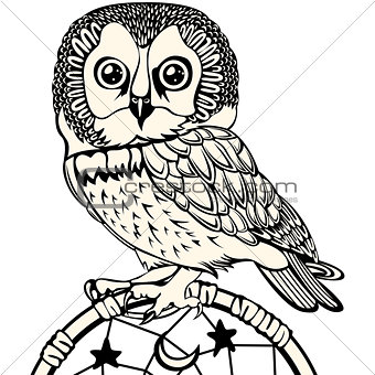 Owl with Dream Catcher