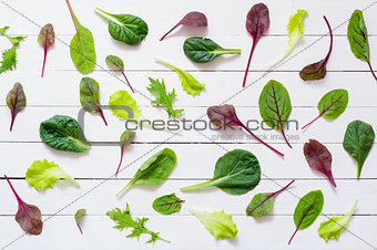 Green salad leaves on white background