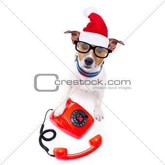 dog on the phone christmas santa hat