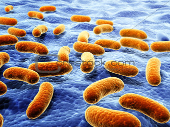 Colony of pathogenic viruses