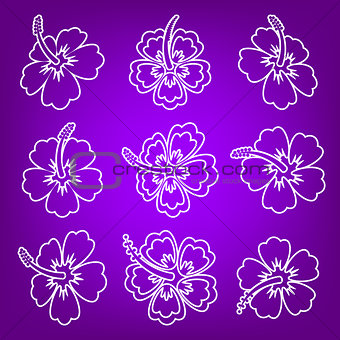 White vector hibiscus flower outline icons