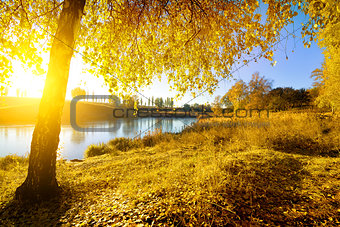 Colorful autumn on river