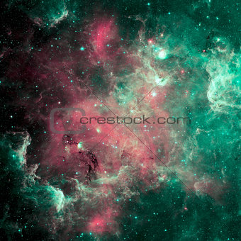 The North America nebula in the constellation Cygnus