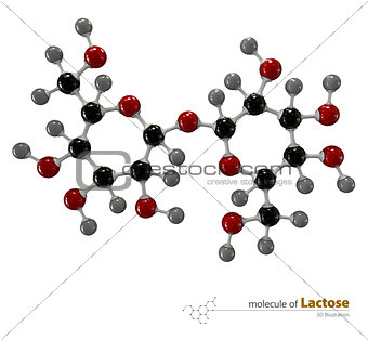 Illustration of Lactose Molecule isolated white background