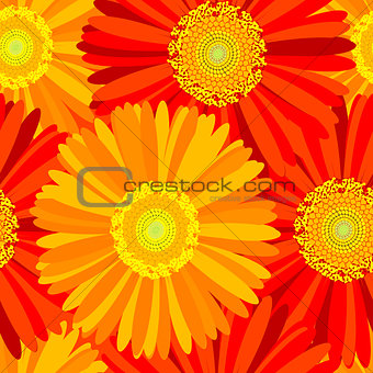 Floral seamless pattern with daisies flowers