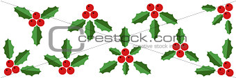 Collection of Red Holly Berries and  Green Leaves