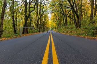 Historic Columbia River Highway Two Way Lanes in Fall