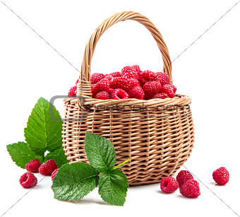 Fresh berries raspberry in wicker basket