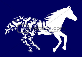 White horse with flying birds, vector