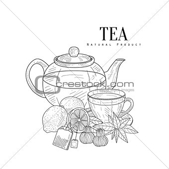 Tea And Its Components Hand Drawn Realistic Sketch