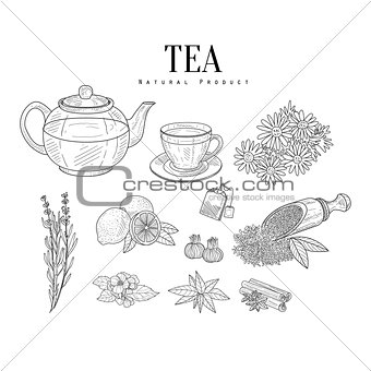 Natural Ingredients And Tea Isolated Hand Drawn Realistic Sketches