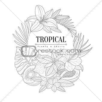 Topical Fruits And Plants Logo Hand Drawn Realistic Sketch