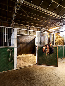 riding school with horse stable