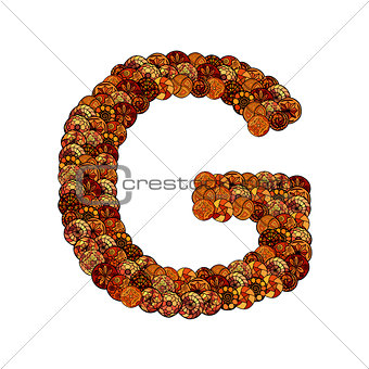 abstract vector font, made of ethnic elements - letter g