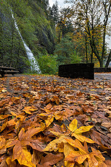 Fall Foliage at Horsetail Falls