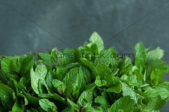 Mint leaves on gray background