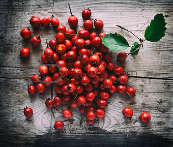 Hawthorn berries on a wooden background