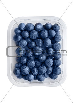 Blueberries in tray isolated on white background