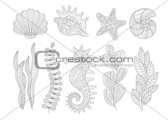 Underwater Nature Set Adult Zentangle Coloring Book Illustration