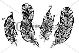 Beautiful hand drawn sketch of feathers for your design. Vector illustration