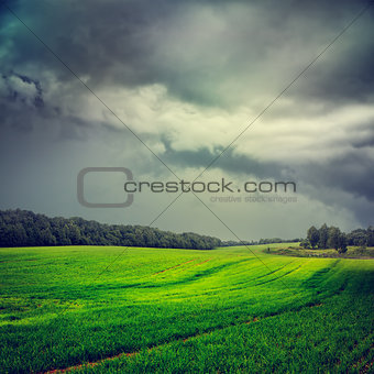 Landscape with Green Field and Gray Dramatic Sky