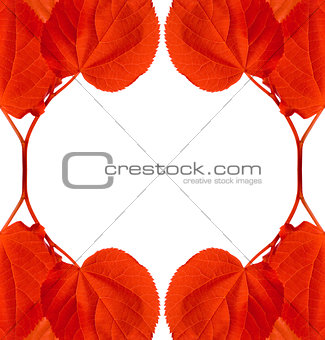 Frame of red autumn leaves