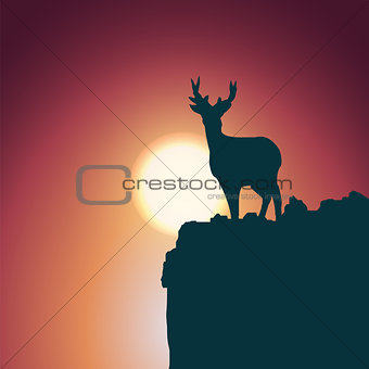 Landscape background. Deer standing on a hill