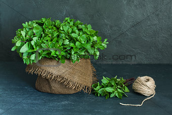Brown pot, sheaf of mint and skein of twine