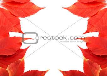 Frame of autumn leaves background with copy space