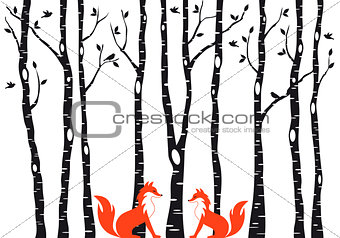 Cute foxes with birch trees, vector