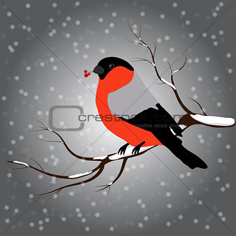 bullfinch sitting on branch with a twig of Rowan in its beak, snowfall. Winter or christmas vector illustration